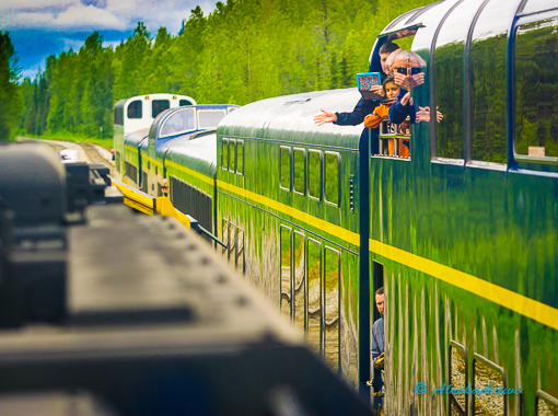 Denali Rail 1406